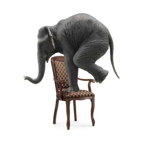 Стул деревянный Woodville by Лайфмебель Клето орех / коричневый