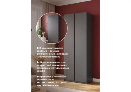 Шкаф Woodville Кассий 02 2-х ств графит