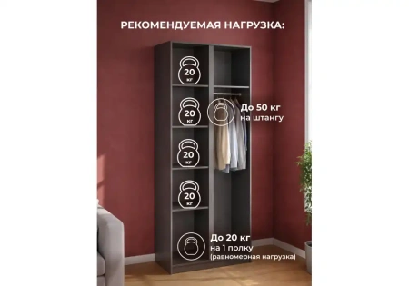 Шкаф Woodville Кассий 02 2-х ств графит