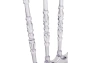 Пластиковый стул Woodville by Лайфмебель Chiavari 1 clear white